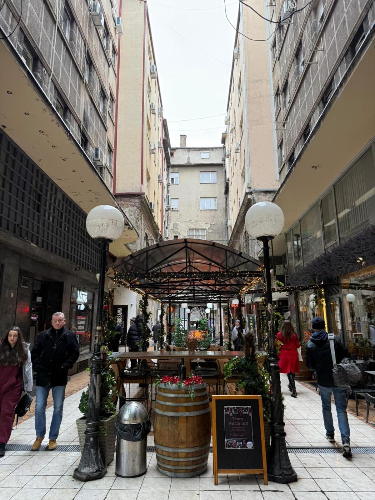 Knez Mihailova Apartment, City Center ベオグラード エクステリア 写真